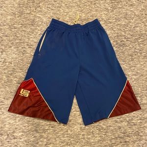 LeBron James Nike dri-fit shorts